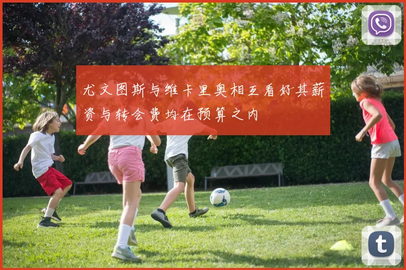 尤文图斯与维卡里奥相互看好其薪资与转会费均在预算之内
