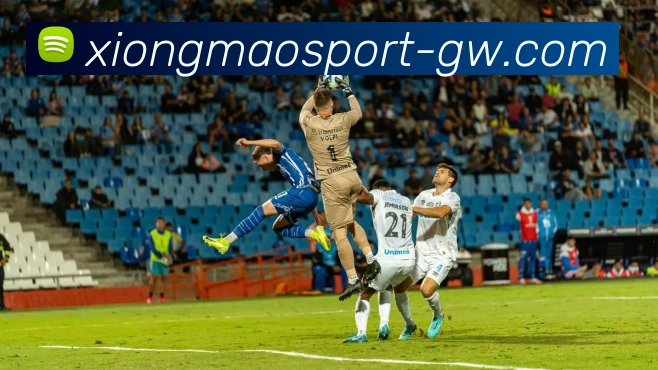 熊猫体育品牌故事