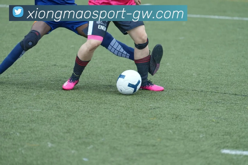 熊猫体育服务体系