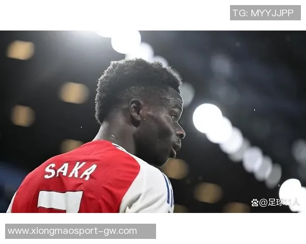 保罗帕克：马杜埃凯比萨卡更具威胁性萨卡容易被对手看穿